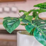 Apartamento Buganvilla&parking Y Terraza Córdoba